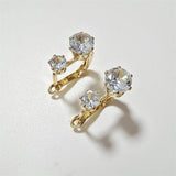Earrings with European and American Zirconia